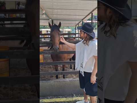 Festival Equino en Útica Cundinamarca