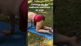 Yoga sempre faz muito bem...