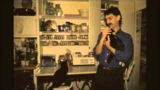 Frank Zappa - The Dangerous Kitchen