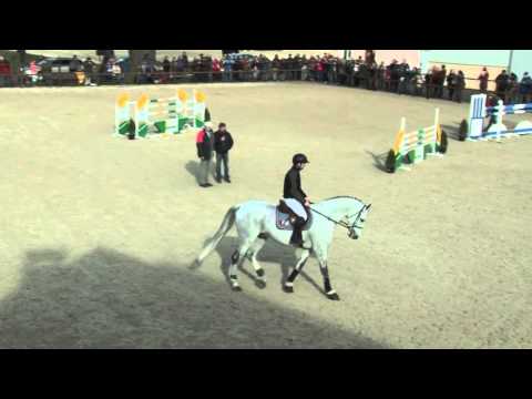 Cento Lano Arcus -  pod sedlem