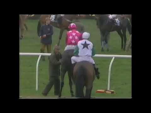 1991 Grand National Aintree Extended footage