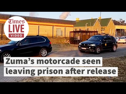 Former president Jacob Zuma released after brief visit to prison