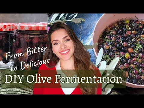 Fermenting Olives at Home: A Complete Guide from Harvest to Tasting!