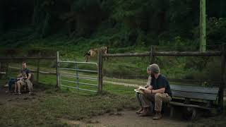 Athena the Belgian Malinois  Service Dog