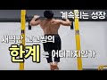 [턱걸이 65개] 새벽반고고씽 그의 한계 는 어디까지인가 - (calisthenics Pull ups 65 reps)