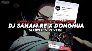 Download lagu DJ SANAM RE X DONGHUA (Slowed & Reverb) mp3