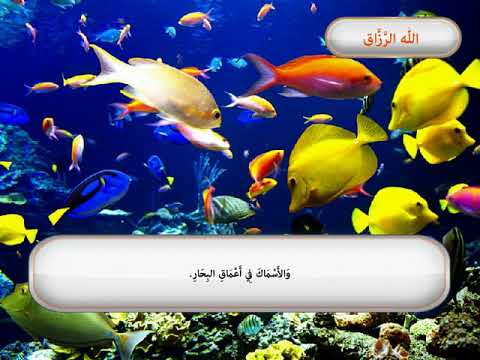 فيديو تعليمي