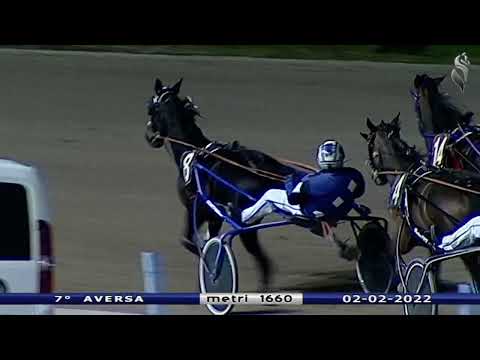 Aversa trotto 2 Febbraio 2022 - 7° Corsa