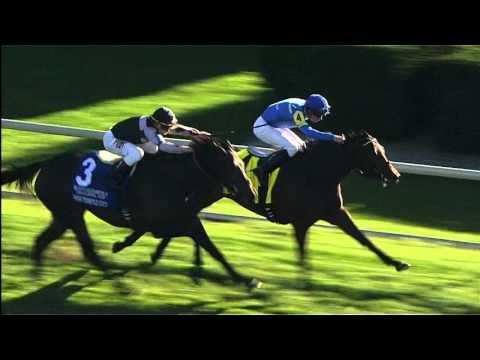 Her Emmynency Returns in 2016 Buena Vista