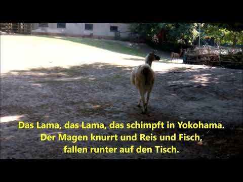 Schnappi  -  Ein Lama in Yokohama (Lyrics)