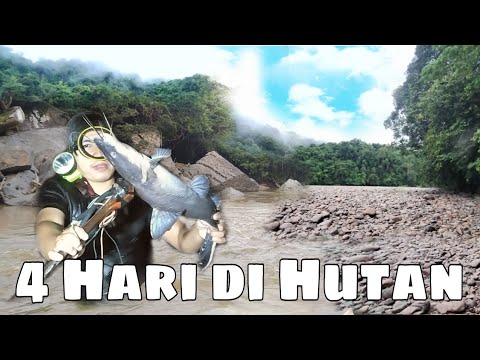 Camping 4 hari Hujan deras badai dan petir Fishing Camp di hutan mencari ikan langka hulu sungai