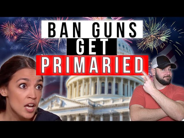 MASSIVE VICTORY: TWO Progressive Dems RESPONSIBLE For AR Ban Bill OUSTED… THIS IS A HUGE VICTORY!!!