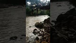 Download lagu menjala ikan dikala hujan rintik rintik mp3