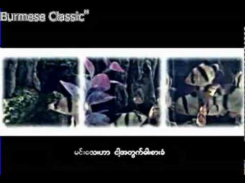 ငါေၾကာင္႔