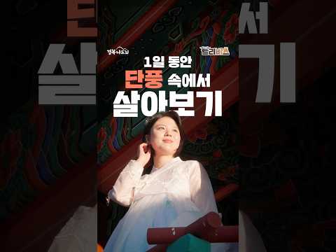 1일 동안 봉화에서 가을 제대로 즐겨보기!