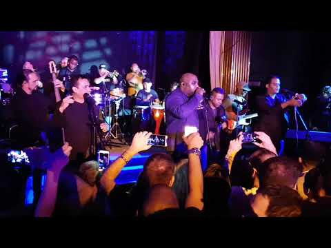 Qué Sorpresa - Havana D'Primera in London