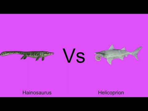 Ultimate Sea Monster Battle Round 1 Part 10 Hainosaurus Vs Helicoprion