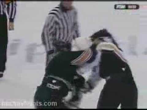 George Parros vs Donald Brashear