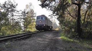 preview picture of video 'BR 232-003 Ludmiła luzem'