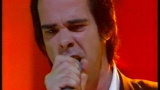 Nick Cave & The Bad Seeds - Nature Boy (live tv)