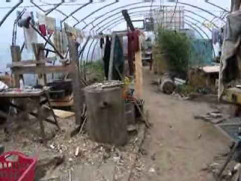 strohballen-lehmhaus im folientunnel