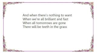 Iron and Wine - Teeth in the Grass Lyrics