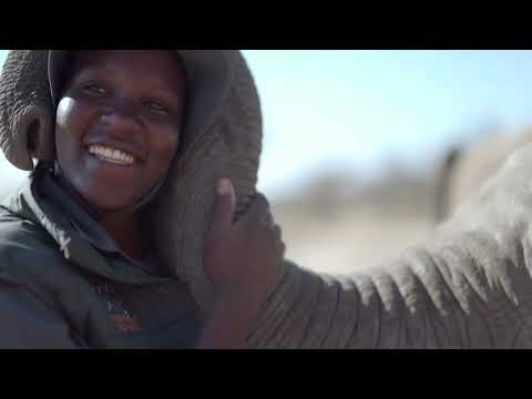 Rescue and Protect Orphaned Elephants in Botswana