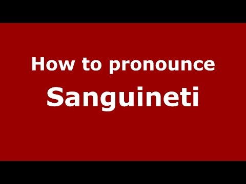 How to pronounce Sanguineti (Spanish/Argentina) - PronounceNames.com