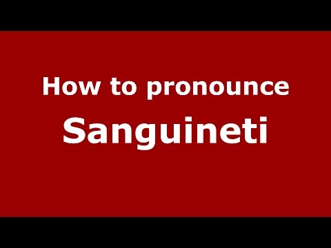 How to pronounce Sanguineti