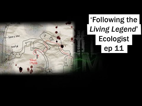 'AGROPROM UNDERGROUND, STRELOK'S HIDEOUT, FINISHING SWAMPS' - Stalker GAMMA Ecologist run Ep. 11