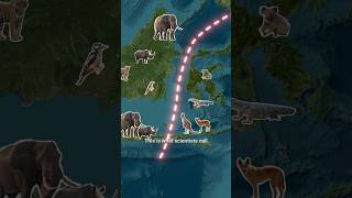Download lagu Why Animals Don’t Cross This Invisible Border 🚧 Wallace Line 😱 mp3