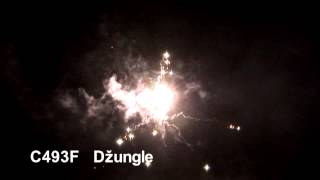 Kompakt 49ran Džungle