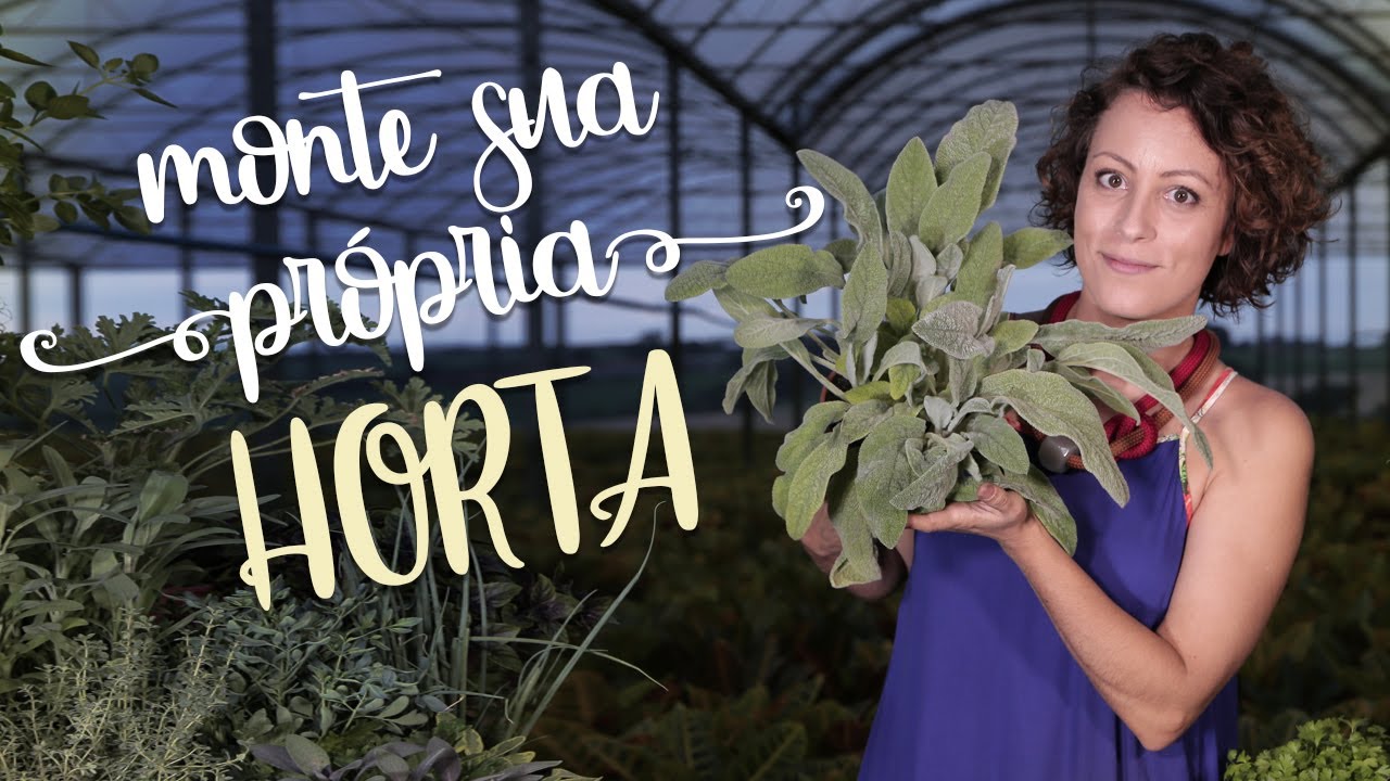 As MELHORES PLANTAS pra HORTA