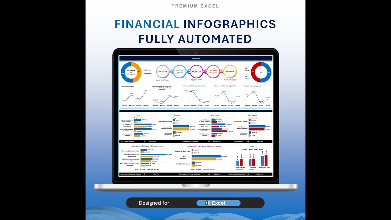 Financial Infographics Excel Template: Automated Financial Statement (Digital Download)