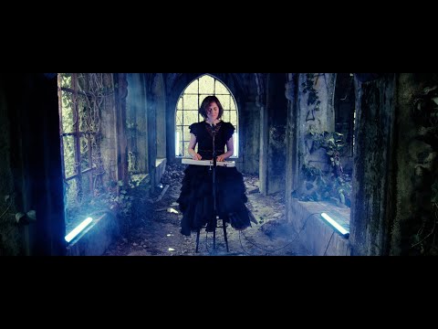 Play Video Youtube Video