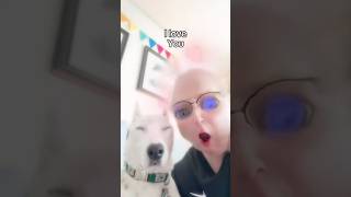 Download lagu I love you…tube ❤️ #funny #dogs #wtf #cringe #dpggy mp3