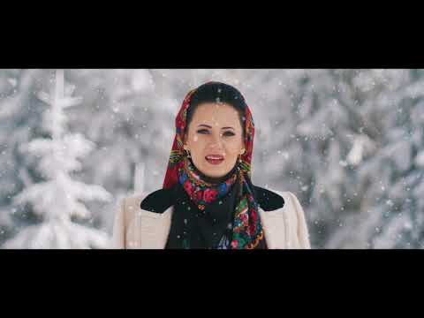 Ioana Stetco Poenar - Sosit-a praznicul iara