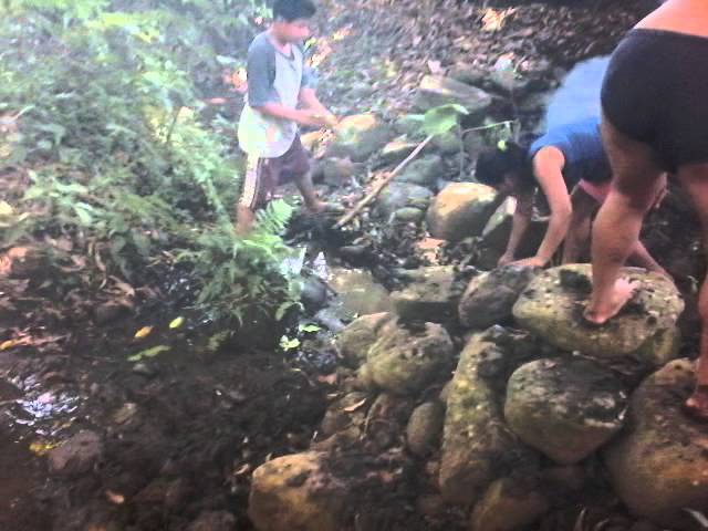 Vídeo relacionado con Adorel Braguitas Calzoncillos Ropa Interior Algodón Niñas Pack de 8 Gato y Conejo 3-4 Años (Tamaño del Fabricante M)