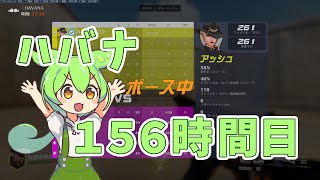 安定のアッシュ