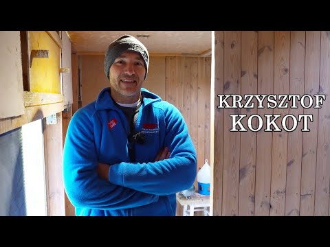 W gołębniku Krzysztofa Kokota – gołębie, karma i suplementacja!