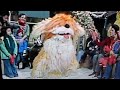 A Special Sesame Street Christmas But Only When Barkley Is Onscreen