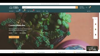 Annie Garden - Garden & Plants BigCommerce Stencil Theme: Installation Guide