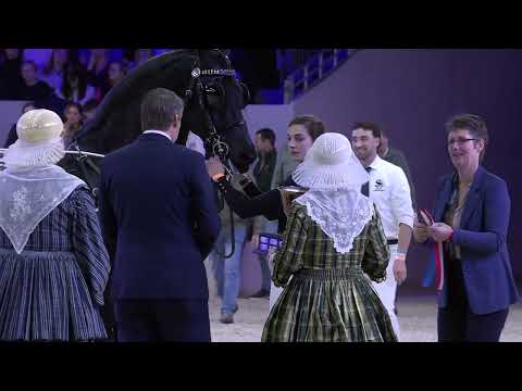 HK 2026 – Award Silver Bowl winner 2025 – German