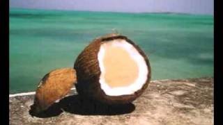Kepa Kruse -- Coconut Wireless (w/lyrics)