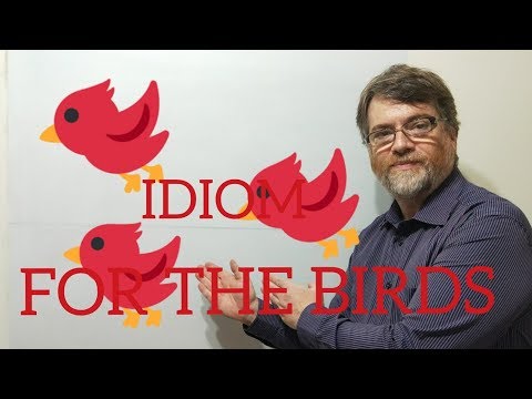 English Tutor Nick P Idioms (232) For the Birds
