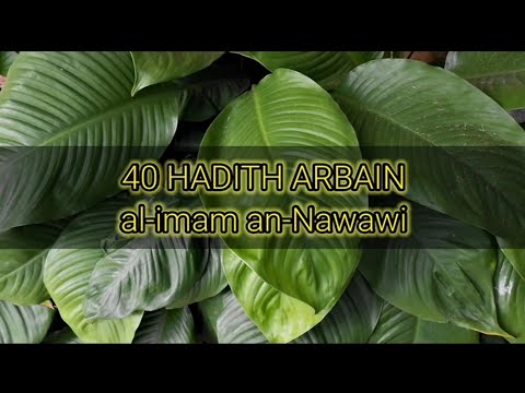 40 Hadiths Arbain Al-Imam An-Nawawi Hadith 36-38, reading in English