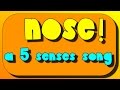 Nose And Sense Of Smell A 5 Senses Sing Along