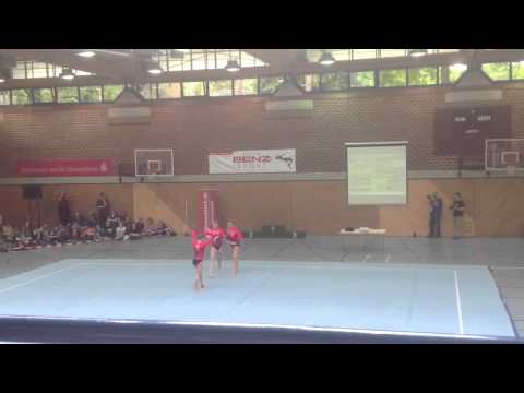 DM 2013-WG SEN COMBINED - Zscheile, Winter, Schäfer