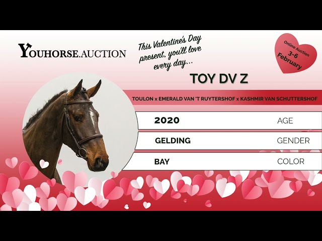 Toy DV Z