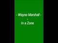 Wayne Marshall - In a Zone